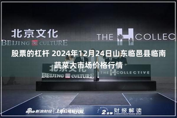 股票的杠杆 2024年12月24日山东临邑县临南蔬菜大市场价格行情