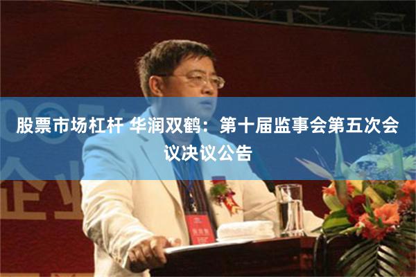 股票市场杠杆 华润双鹤：第十届监事会第五次会议决议公告