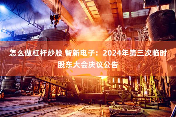 怎么做杠杆炒股 智新电子：2024年第三次临时股东大会决议公告