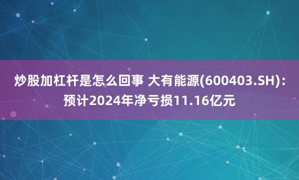 炒股加杠杆是怎么回事 大有能源(600403.SH)：预计2024年净亏损11.16亿元