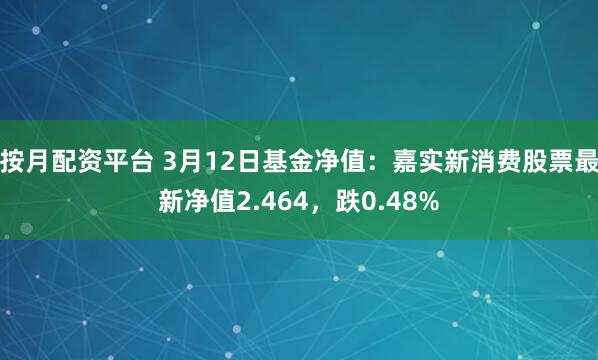 按月配资平台 3月12日基金净值：嘉实新消费股票最新净值2.464，跌0.48%