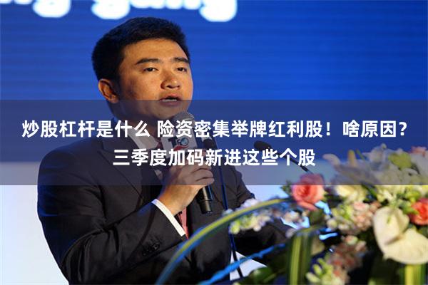 炒股杠杆是什么 险资密集举牌红利股！啥原因？三季度加码新进这些个股