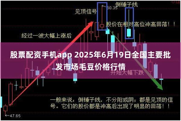 股票配资手机app 2025年6月19日全国主要批发市场毛豆价格行情