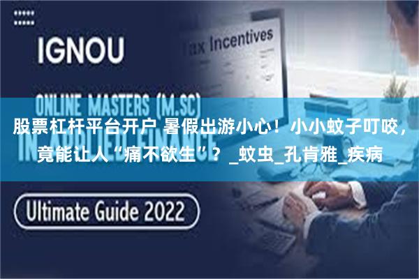 股票杠杆平台开户 暑假出游小心！小小蚊子叮咬，竟能让人“痛不欲生”？_蚊虫_孔肯雅_疾病