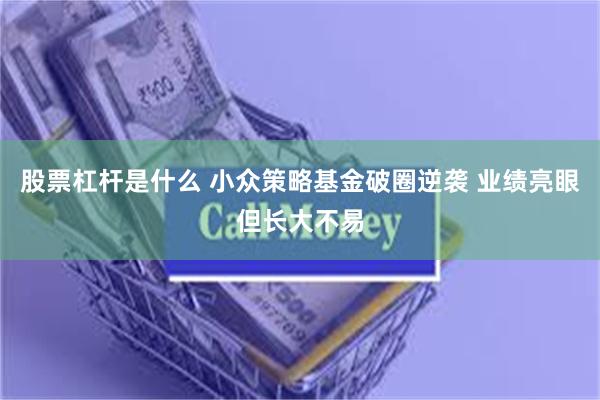 股票杠杆是什么 小众策略基金破圈逆袭 业绩亮眼但长大不易